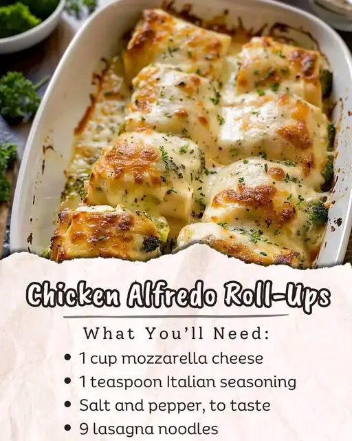 Chicken and Broccoli Alfredo Roll-Ups