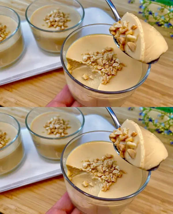 No-Bake 3-Ingredient Milk Pudding Dessert!