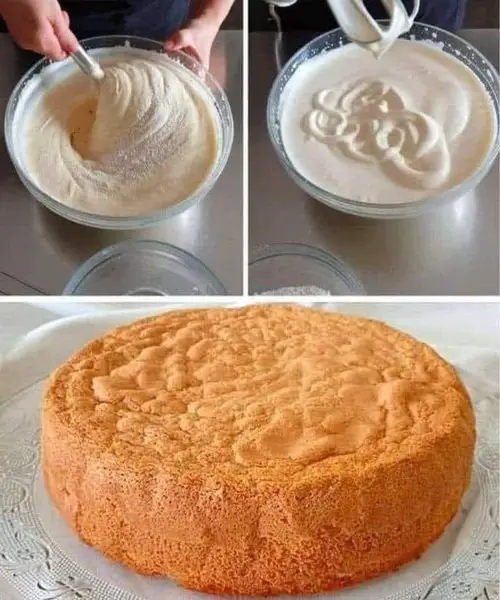 INGREDIENT SPONGE CAKE