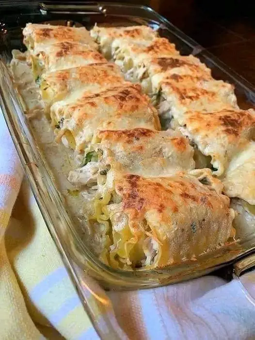 Creamy Chicken Alfredo Lasagna Roll-Ups