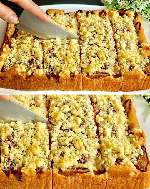 Plum Crumble Cake Recipe