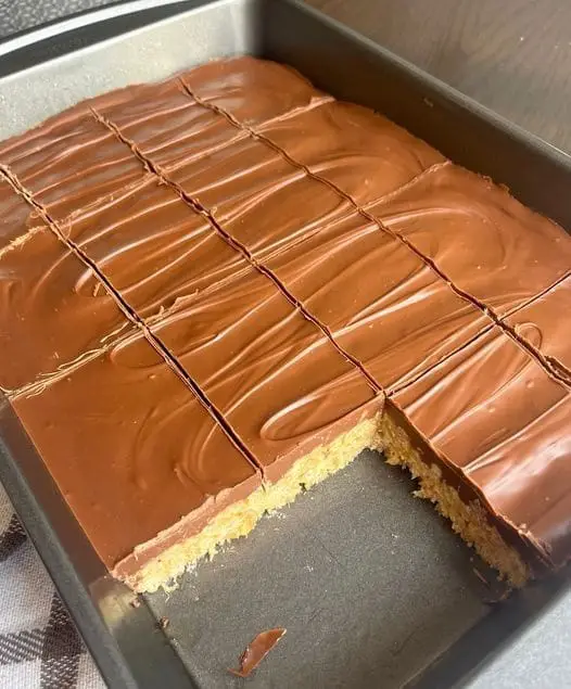 Chocolate Peanut Butter Bars