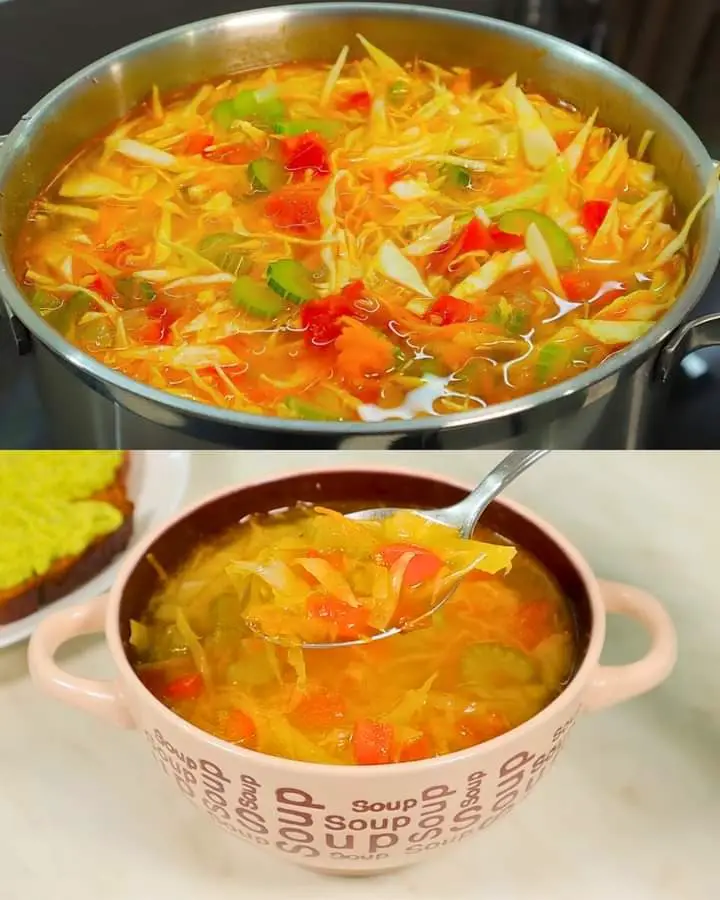 Vegetable Weight Loss Soup