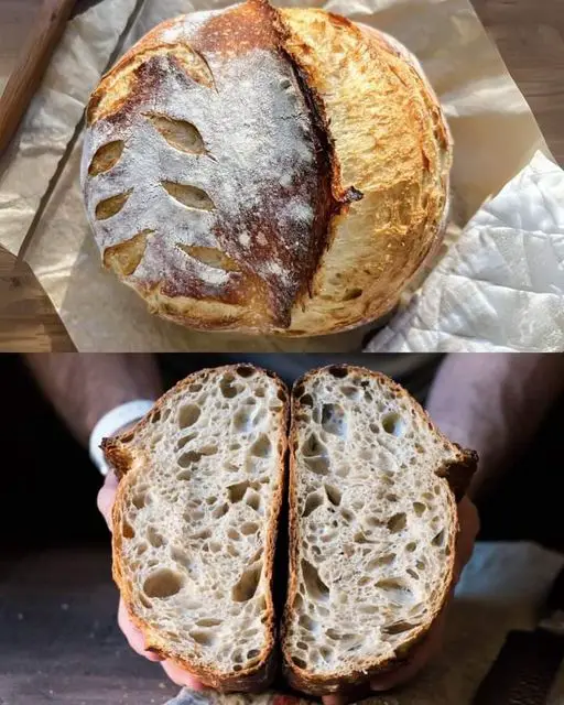 Sourdough Bread Recipe