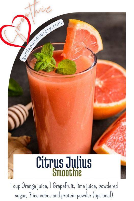 Discover the Ultimate Citrus Julius Smoothie!