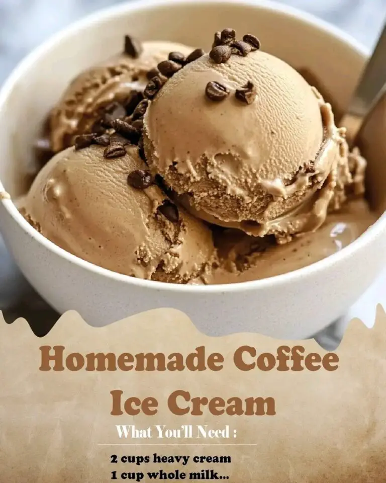 Homemade Coffee Ice Cream PSTAlgerie