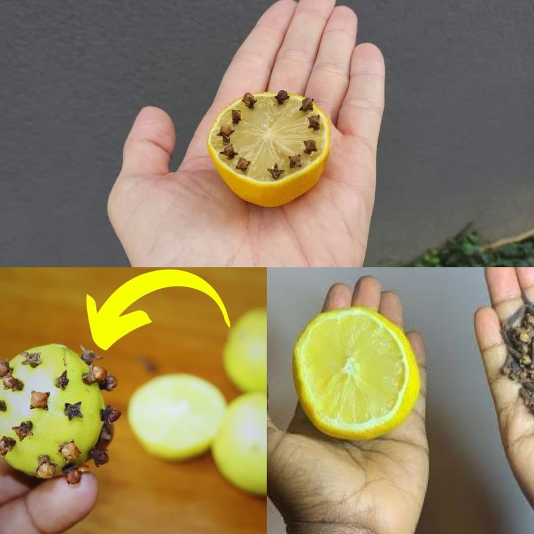 Just Stick the Cloves into the Lemon! Discovering a Golden Secret for Everyday Wellness