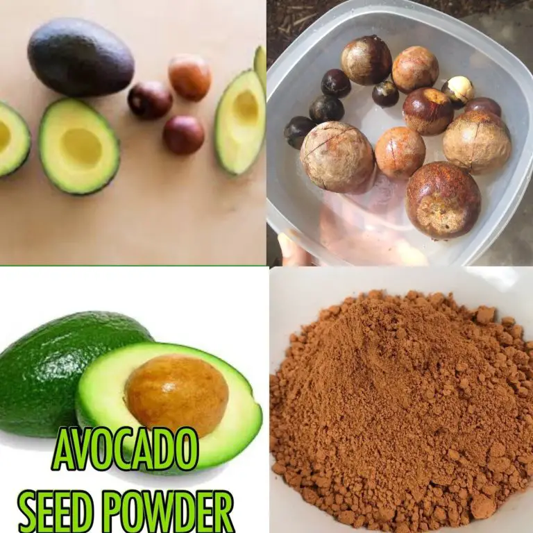 Discover the Amazing Benefits of Avocado Seed Powder