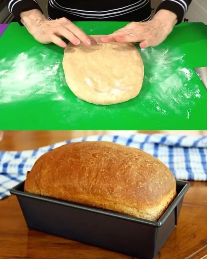 Whole Wheat Bread Recipe