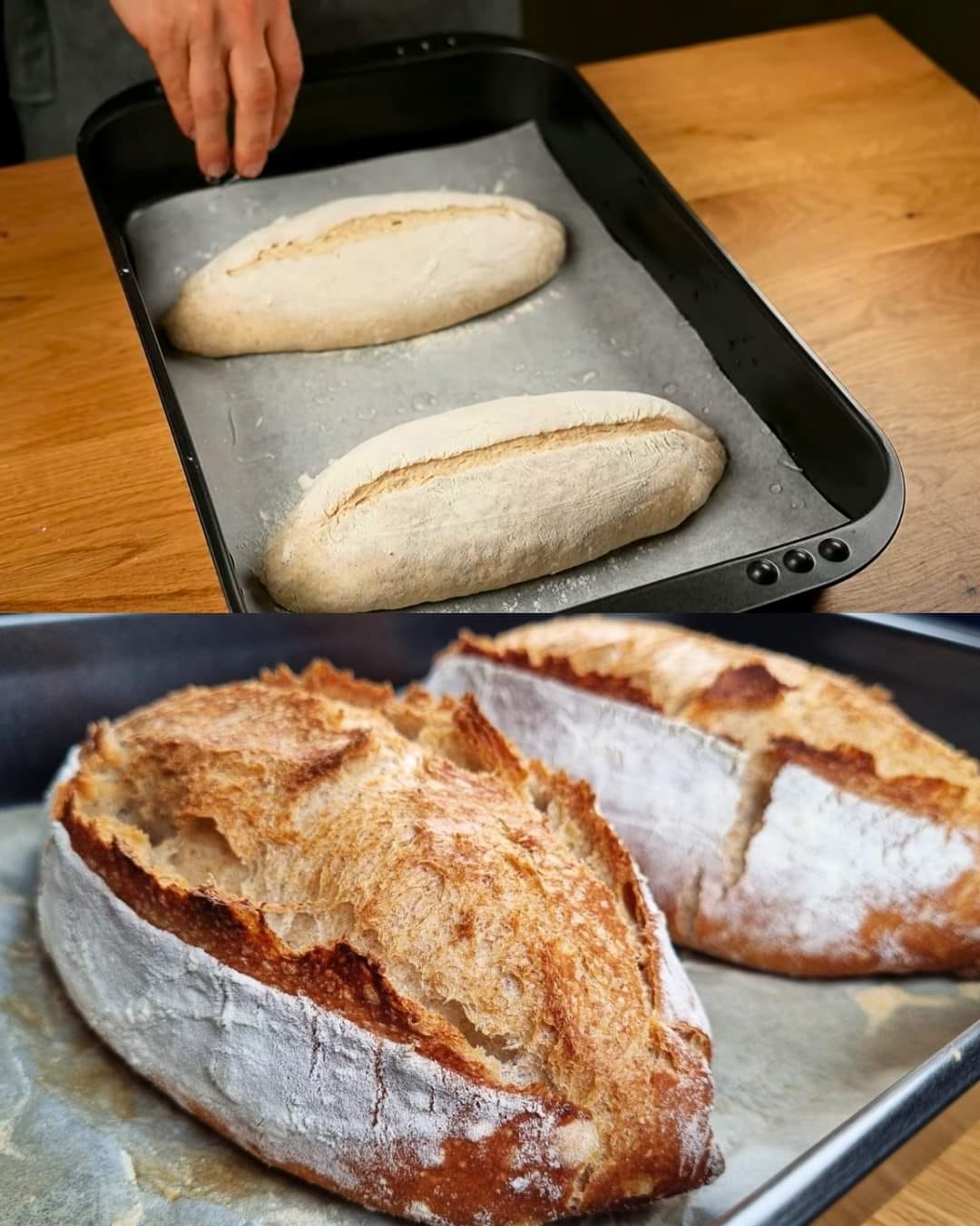 Whole Wheat Bread