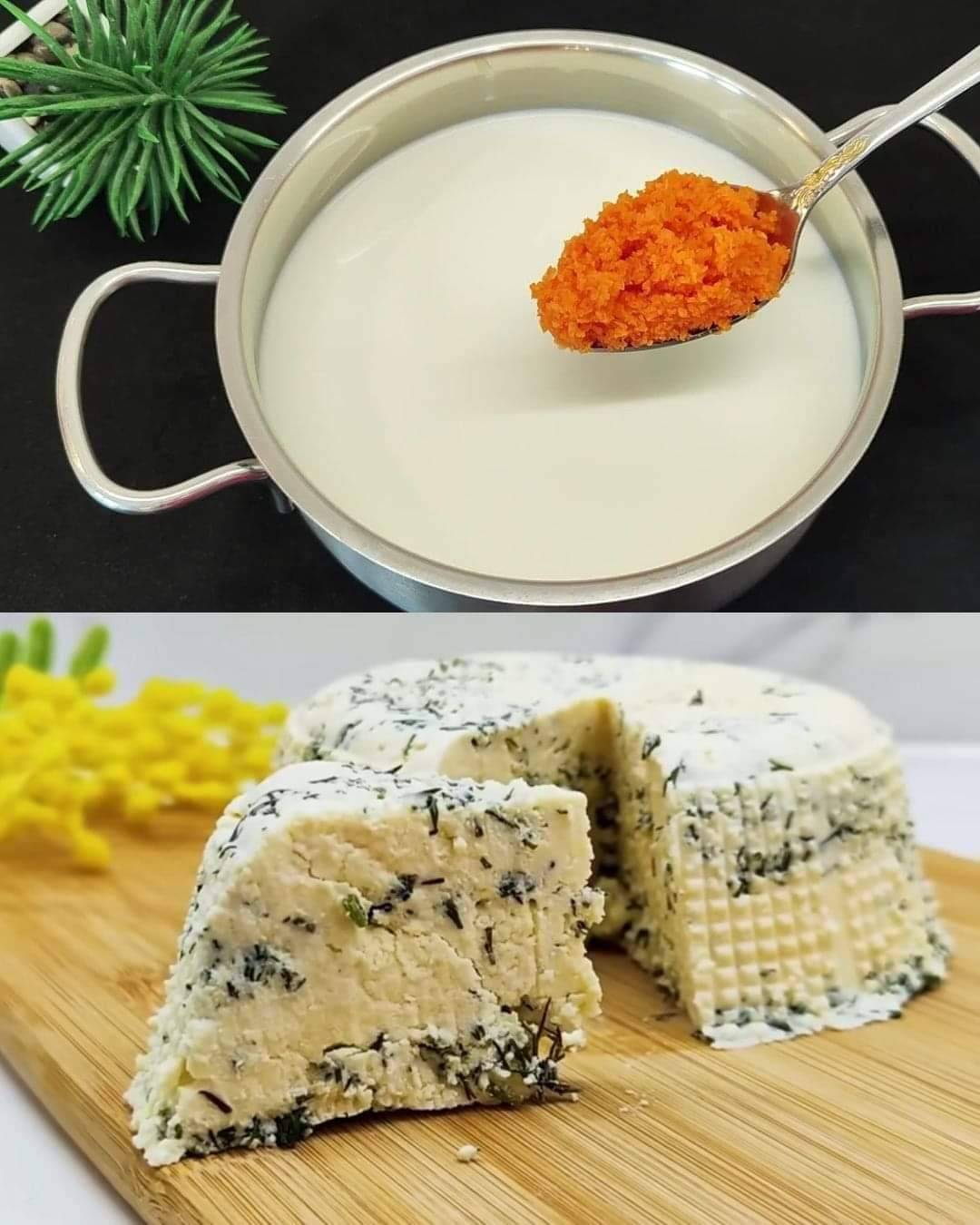 Fresh Carrot-Infused Homemade Cheese