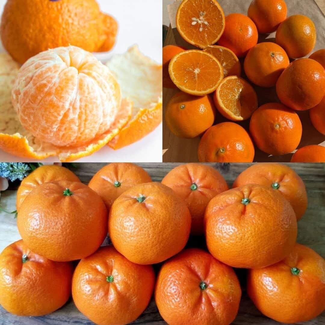 Clean Kidney, Liver, and Lungs with Mandarins: