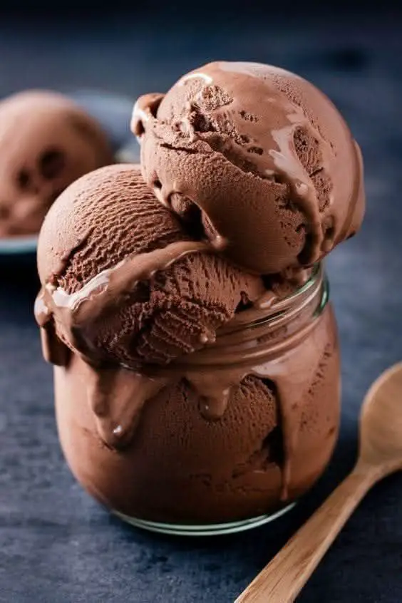 Homemade chocolate ice cream recipe: