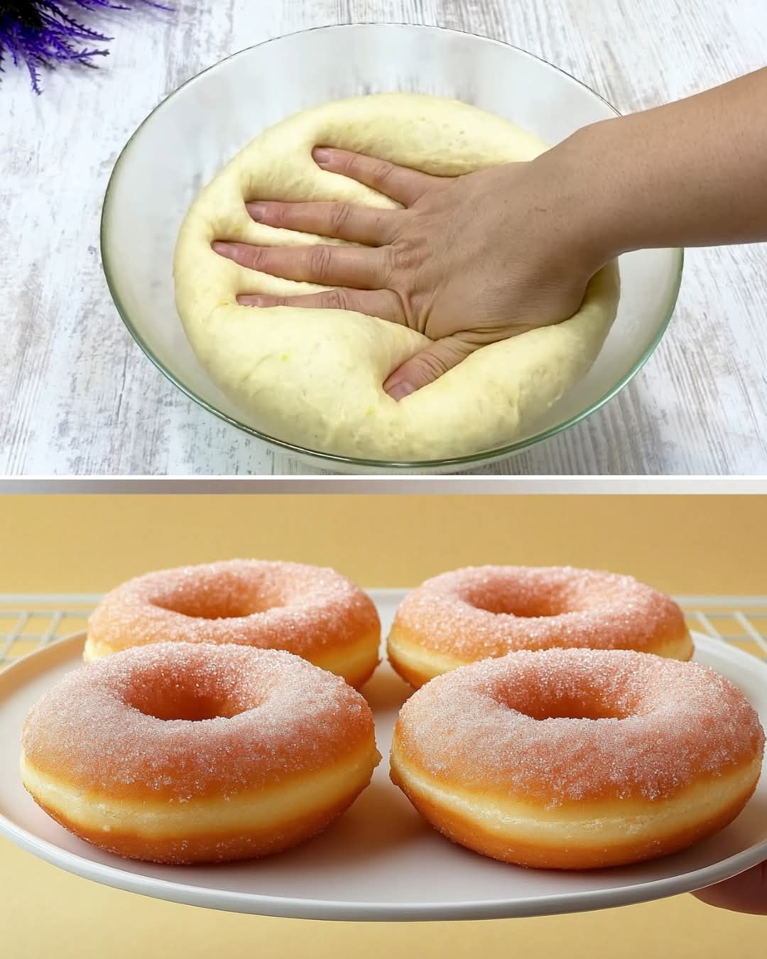 Italian Donuts – The Best Homemade Donuts Recipe