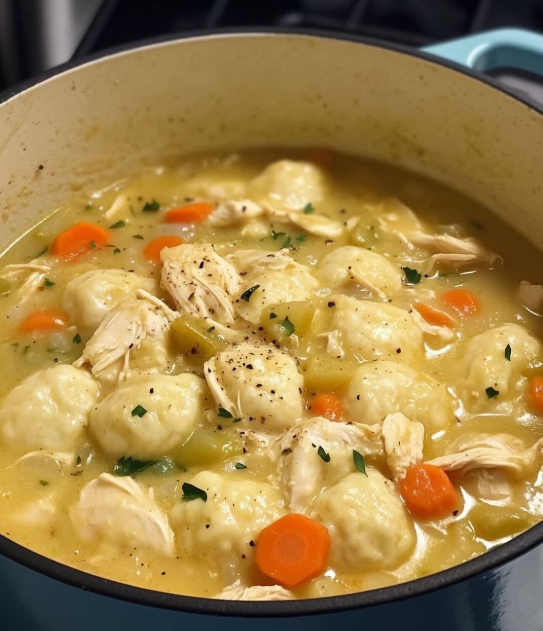 The BEST Chicken and Dumplings!