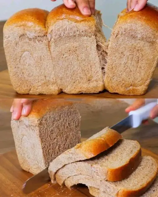 Whole Wheat Bread Recipe