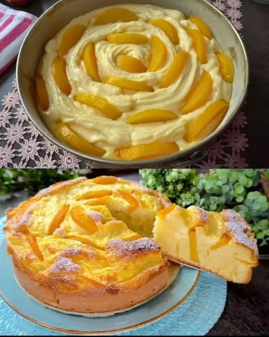 Apricot Cake with Creamy Pudding