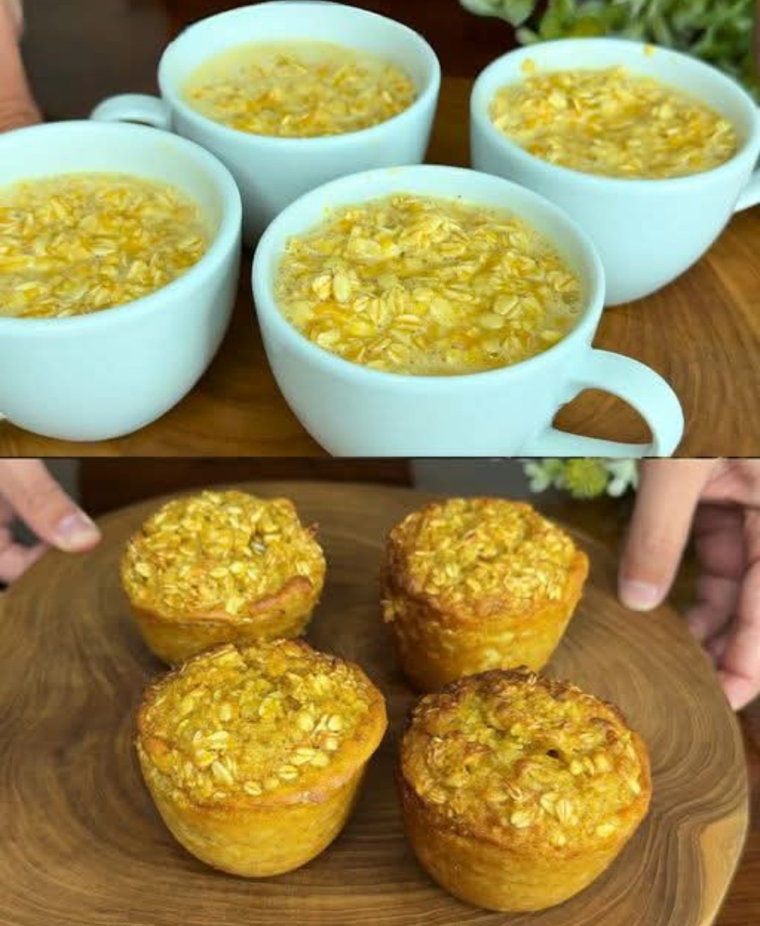 Orange Oatmeal Cups Recipe