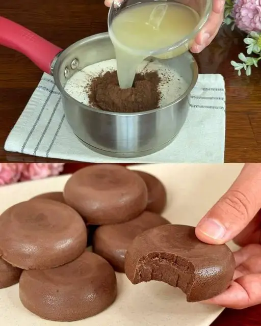 Chocolate Coconut Milk Jelly Recipe