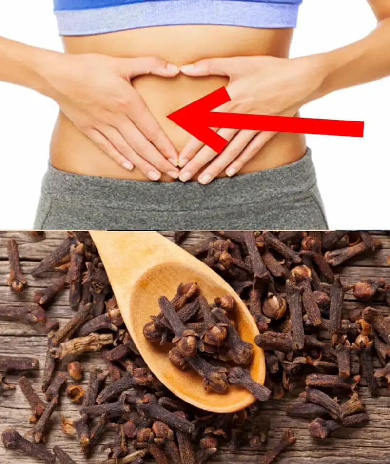 Just Put Cloves on Your Belly & No Longer Need to Spend Money at the Pharmacy! (Did You Know That?)