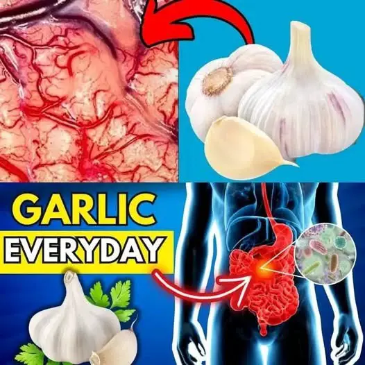 Eat Garlic Before Bed and Be Amazed at What Happens