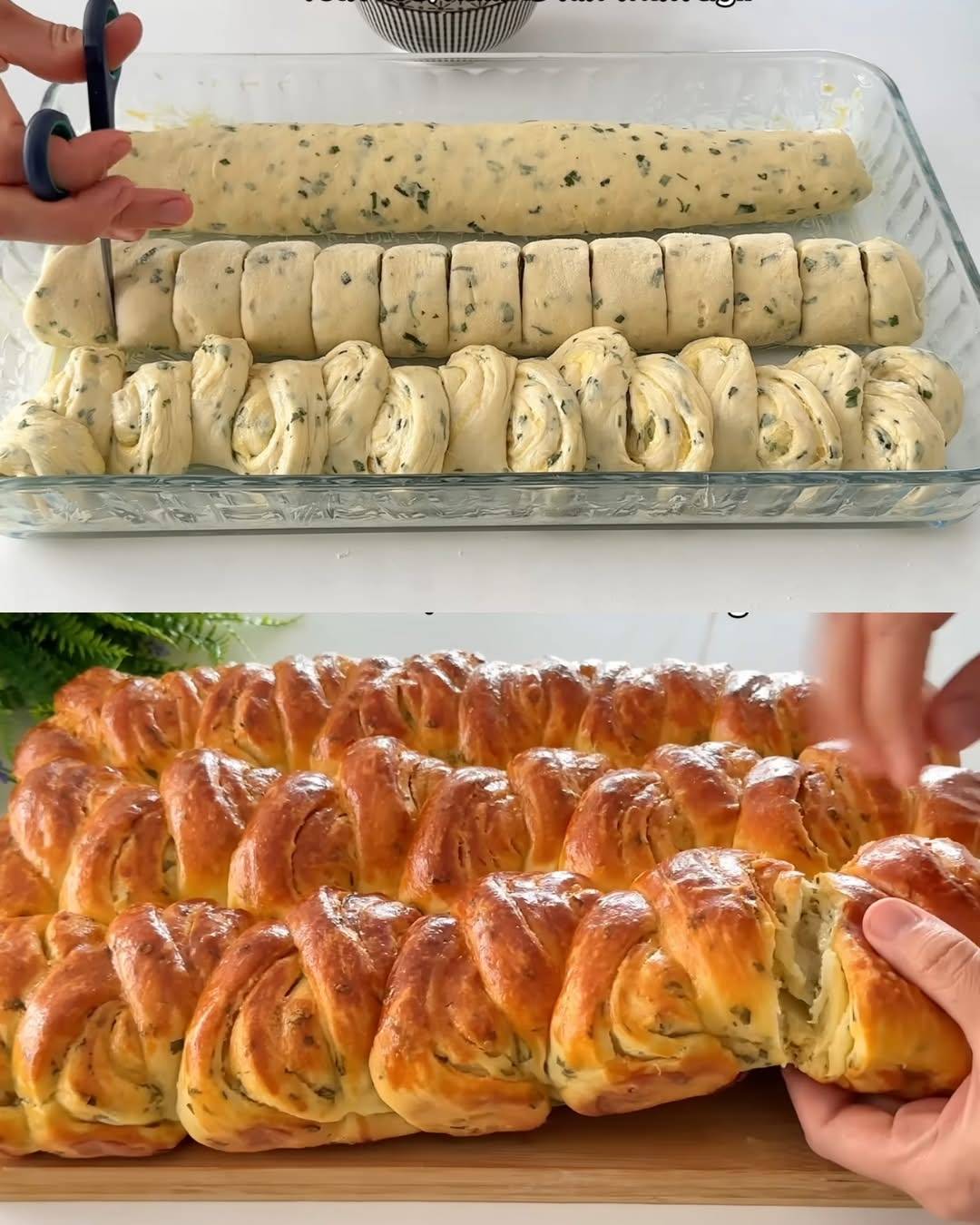 Soft and Fluffy Butter Rolls