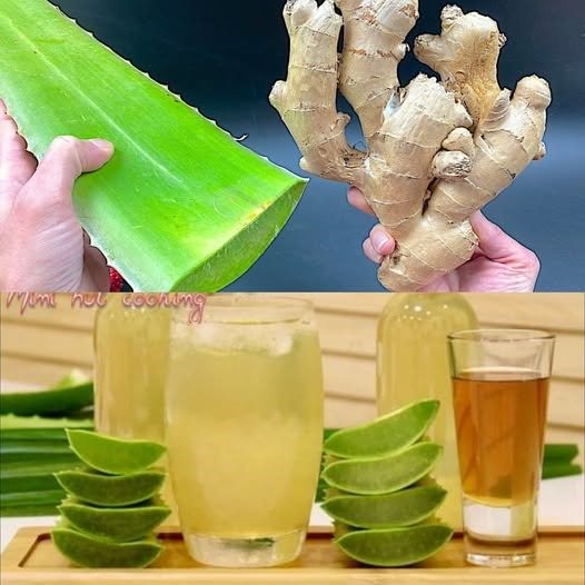 Boost Your Health with Ginger and Aloe Vera – A Powerful Natural Remedy