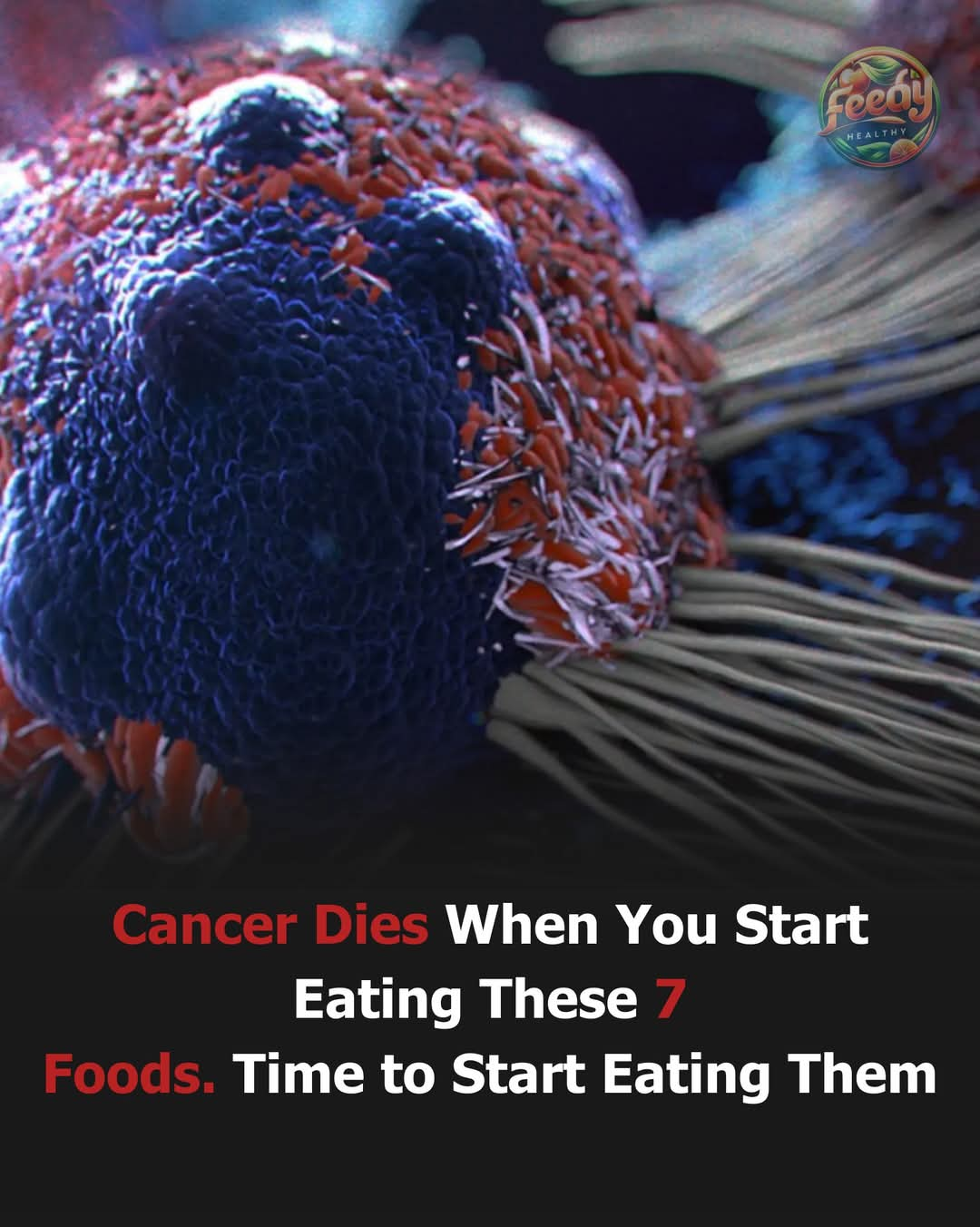 Cancer Dies When You Start Eating These 7 Foods. Time to Start Eating Them