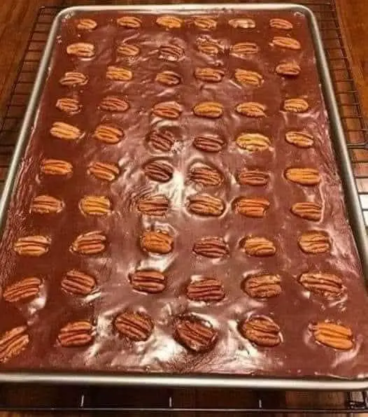 Texas Sheet Cake with Pecans