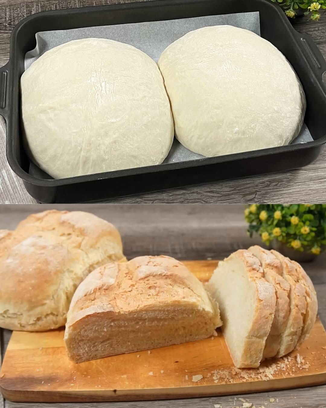 Greek Country Bread (No Kneading)