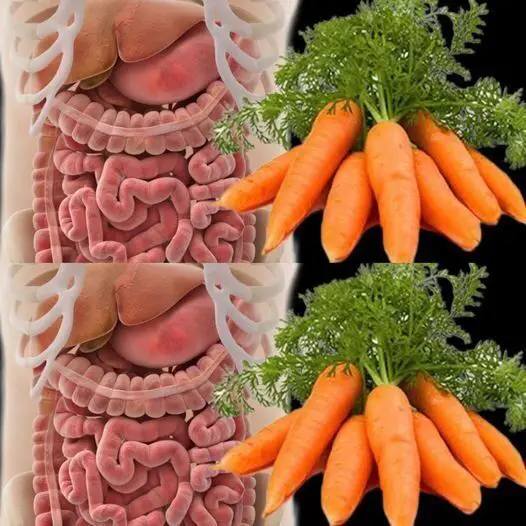 Cleanse Your Intestines and Liver Naturally with This Simple Remedy