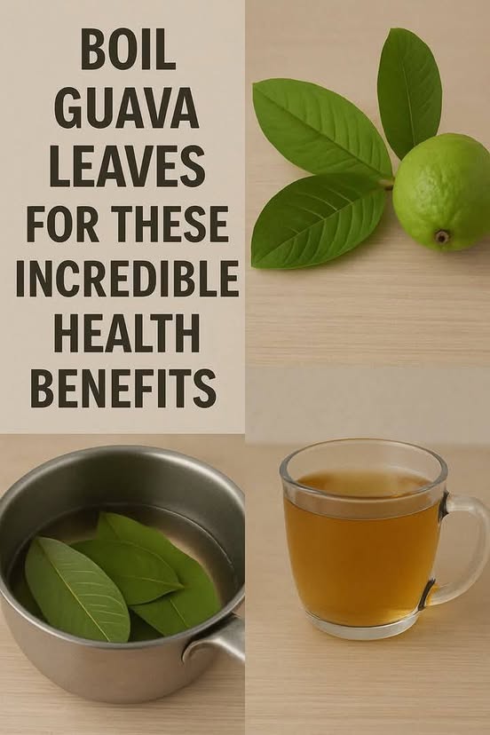 Boil Guava Leaves for These Incredible Health Benefits