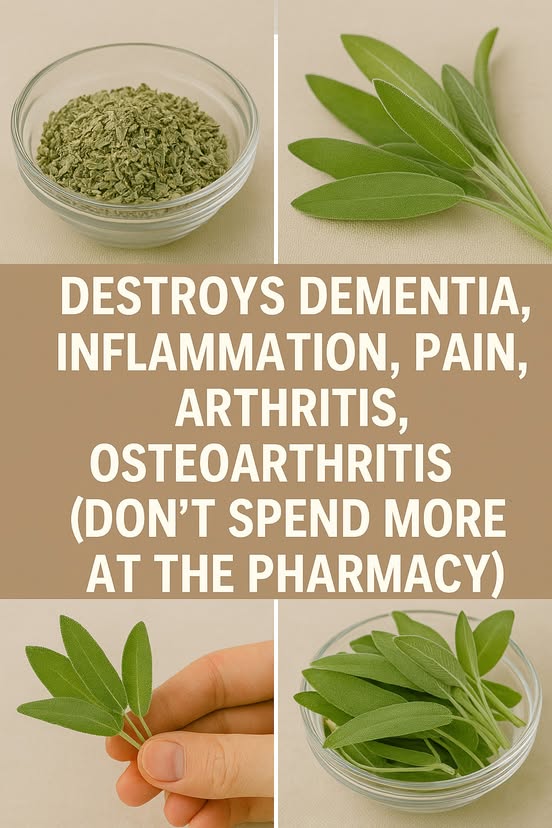 Sage: A Natural Remedy for Brain Health, Inflammation, and Joint Pain