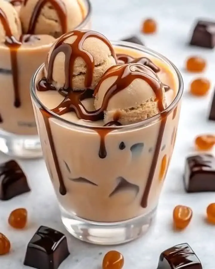 Homemade Moose Tracks Ice Cream : 1 492306558 122184269702322993 1159842718236911830 n