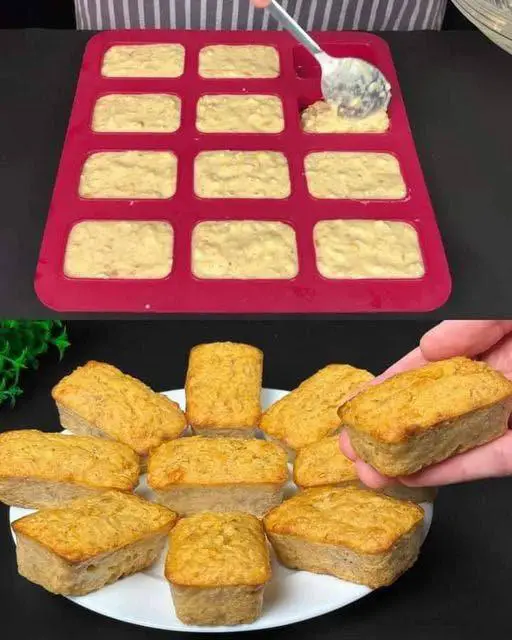 495337837 122145750572635500 863344879581552053 n