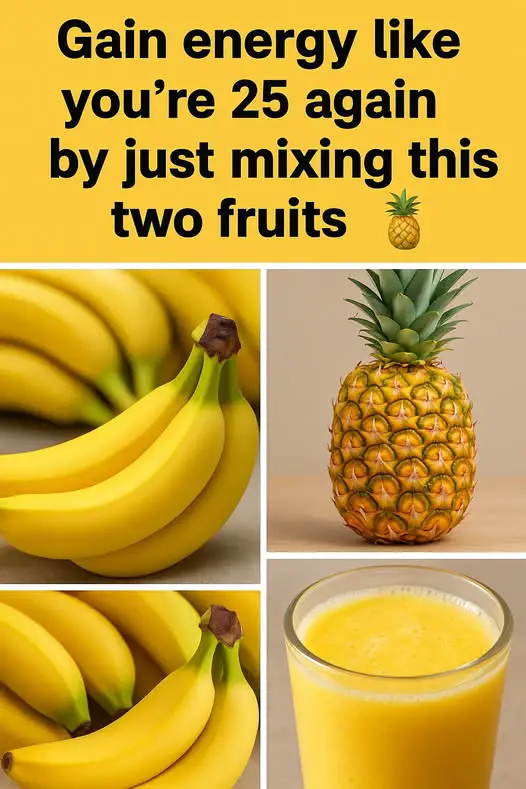 496255584 122224555934217733 430191259567382484 n