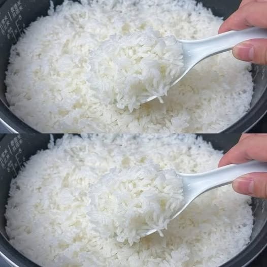 Adding only water when cooking rice is a big mistake. I will share with you the secret that hotels use.