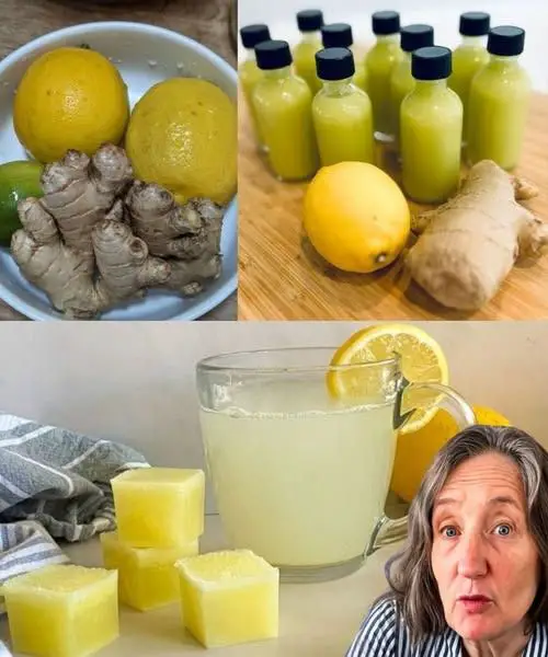 503664250 122217238484157364 243335223972321531 n