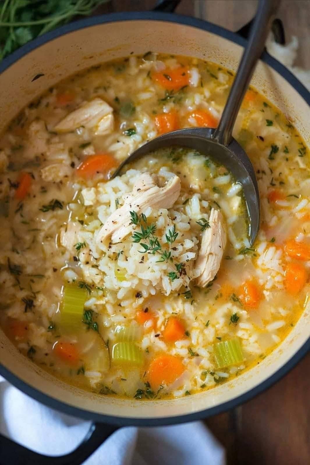 Chicken and Rice Soup Recipe