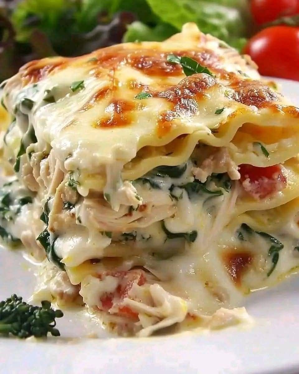 White Cheese Chicken Lasagna 1 518271655 661948880242971 1184835594028186692 n