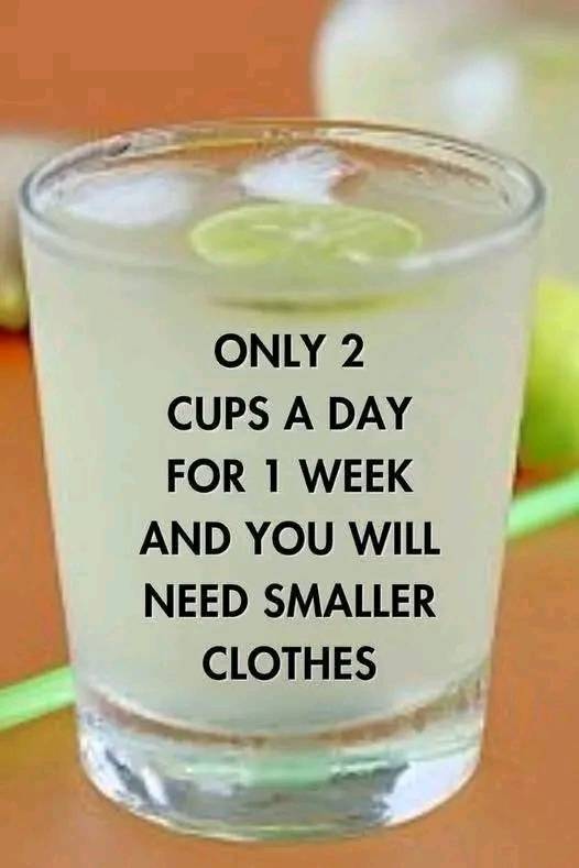 556911396 122246820602079333 3425665710730698745 n