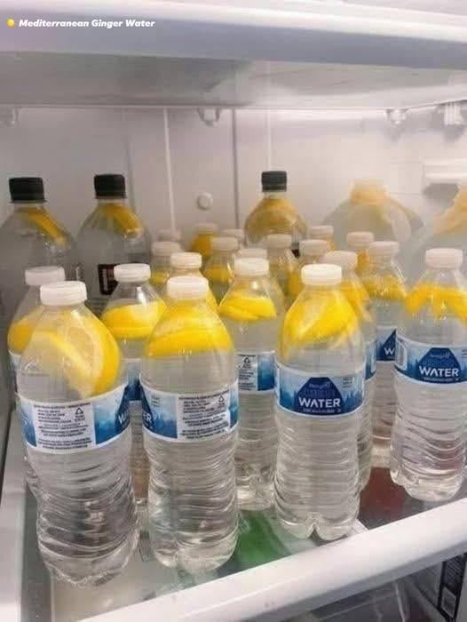 577317444 122147991050659589 3049916302426735527 n